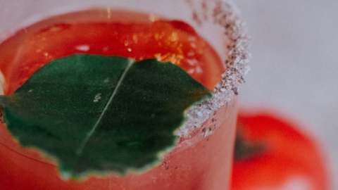 Bloody Mary Cocktail