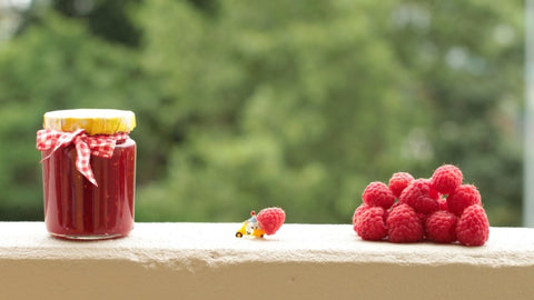 Raspberry Jam